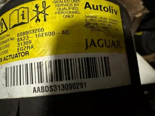 8X23-16E600-AC Подушка безопасности Jaguar XF 250 Арт e12647595, вид 2