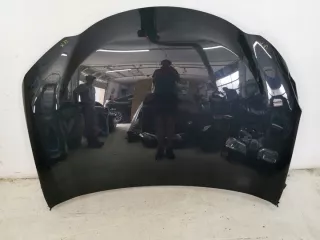  Капот Lexus UX Арт e12614859
