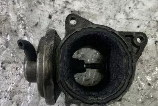 038131501 Клапан EGR Seat Cordoba 2 Арт e12613934, вид 1