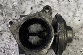038131501 Клапан EGR Seat Cordoba 2 Арт e12613934, вид 2