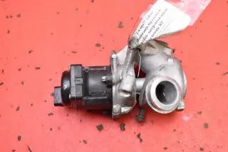 ENGITECH500022 Клапан EGR Citroen C4 Picasso 1 Арт e12612711, вид 1