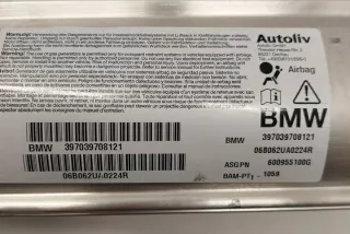 600955100G Подушка безопасности BMW 5 E60/E61 Арт e12603767, вид 4