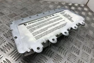39923039801 Подушка безопасности BMW 5 F10/F11/GT F07 Арт e12603609, вид 2