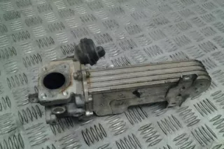 03G131513J Радиатор EGR Volkswagen Golf 5 Арт e12583178, вид 1