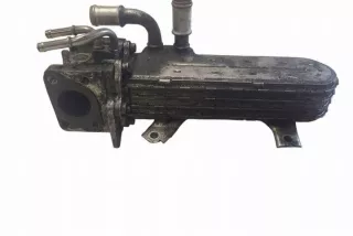 038131513AD Радиатор EGR Volkswagen Golf 6 Арт e12583146, вид 4