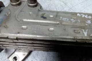 038131513AD Радиатор EGR Volkswagen Golf 6 Арт e12583138, вид 1