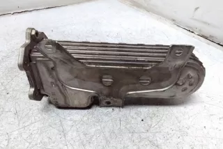 038131513AD Радиатор EGR Volkswagen Golf 6 Арт e12583138, вид 3