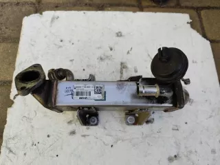 8200719993C PRKA114216644 H8200620695 Радиатор EGR Renault Laguna 3 Арт e12582601, вид 1