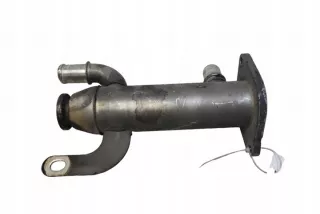 875816W9645689780 Радиатор EGR Citroen C4 1 Арт e12580819, вид 5
