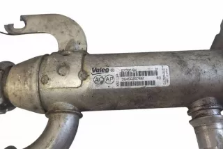875816W Радиатор EGR Citroen C4 2 Арт e12580809, вид 3