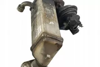 7805189 Радиатор EGR BMW 1 E81/E82/E87/E88 Арт e12580101, вид 5
