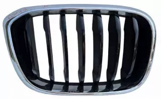 7478670 Решетка радиатора BMW X3 G01 Арт e12560211, вид 1