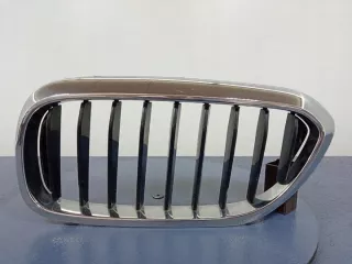 7390863 Решетка радиатора BMW 5 G30/G31 Арт e12560122, вид 1