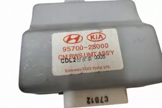 957002B000 Блок управления (другие) Hyundai Santa FE 2 (CM) Арт e12555435, вид 1