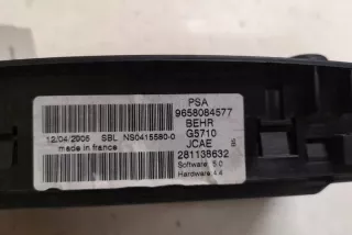 216751600 Блок управления (другие) Citroen C4 1 Арт e12554859, вид 1