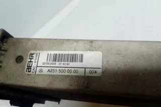 W164 A2515000000 Интеркулер Mercedes ML W164 Арт e12549179, вид 1