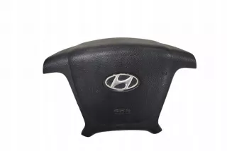 SA102550000 Подушка безопасности Hyundai Santa FE 2 (CM) Арт e12541164, вид 4