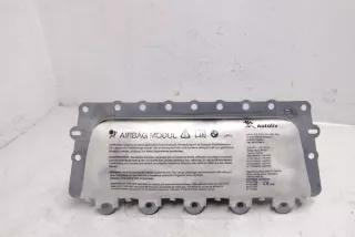 39923039903 Подушка безопасности BMW 5 F10/F11/GT F07 Арт e12538270, вид 2