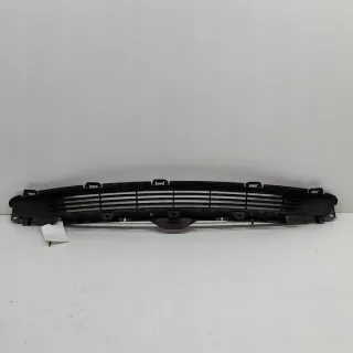 151684800A Решетка радиатора Tesla model 3 Арт e12511651, вид 1
