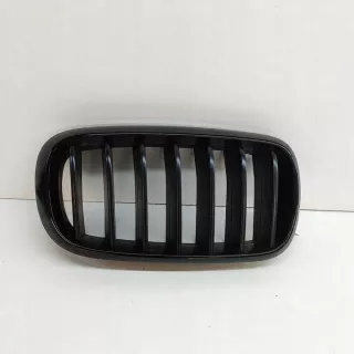 7316054 Решетка радиатора BMW X5 F15 Арт e12510666, вид 1