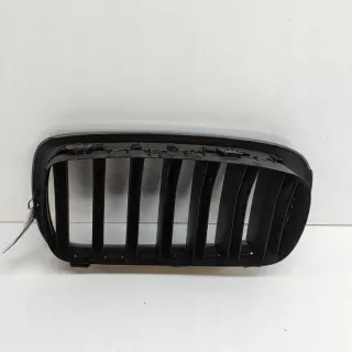 7316054 Решетка радиатора BMW X5 F15 Арт e12510666, вид 2