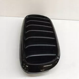 7316054 Решетка радиатора BMW X5 F15 Арт e12510666, вид 3