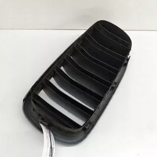7316054 Решетка радиатора BMW X5 F15 Арт e12510666, вид 4