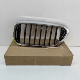9626587 Решетка радиатора BMW 5 G30/G31 Арт e12510516, вид 1