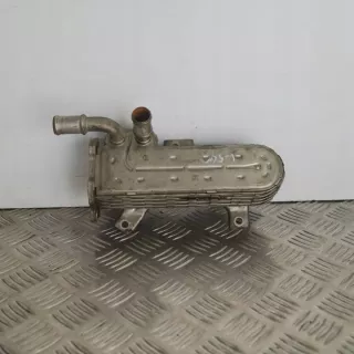 038131513AD Радиатор EGR Volkswagen Passat B6 Арт e12500157, вид 2
