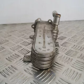 038131513AD Радиатор EGR Volkswagen Passat B6 Арт e12500157, вид 4