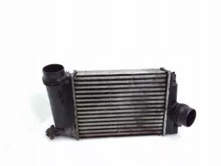 144614EA1B01 Интеркулер Renault Megane 4 Арт e12496386, вид 1