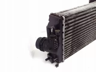 144614EA1B01 Интеркулер Renault Megane 4 Арт e12496386, вид 2
