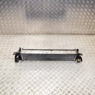 F1F18D048AB Интеркулер Ford Kuga 2 Арт e12495909, вид 1