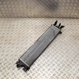 F1F18D048AB Интеркулер Ford Kuga 2 Арт e12495909, вид 3