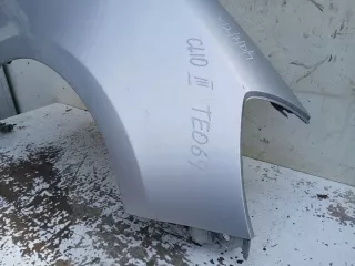  Крыло переднее правое Renault Clio 3 Арт e12489941, вид 4