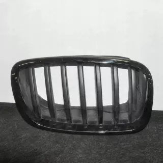 7171396 Решетка радиатора BMW X6 E71/E72 Арт e12480336, вид 1