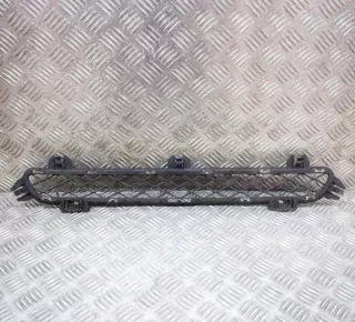 7210466 Решетка радиатора BMW X3 F25 Арт e12480240, вид 2