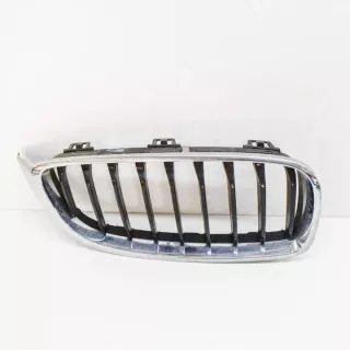 7294820 Решетка радиатора BMW 4 F32/F33/GT F36 Арт e12479901, вид 1