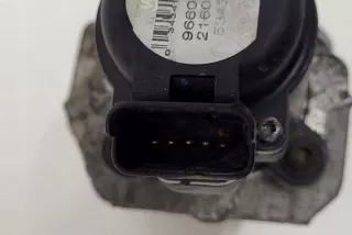 2436034255 Клапан EGR Citroen C4 1 Арт e12475306, вид 4