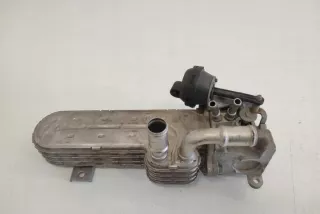03G131515J Радиатор EGR Volkswagen Golf 5 Арт e12449051, вид 1