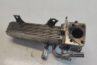 038131513AD Радиатор EGR Volkswagen Golf 5 Арт e12449049, вид 1
