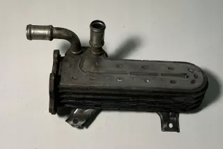 038131513AD Радиатор EGR Seat Altea Арт e12449022, вид 1