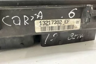13217392 Блок предохранителей Opel Corsa D Арт e12442391, вид 1