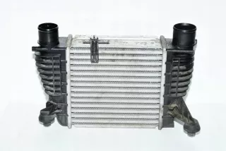 14461EM00A Интеркулер Nissan Juke 1 Арт e12427677, вид 1