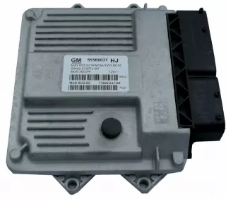 55566037 Блок управления двигателем Opel Corsa D Арт e12421853, вид 1