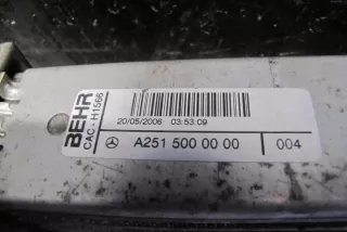 W251, A2515000000 Интеркулер Mercedes GL X164 Арт e12408126, вид 1