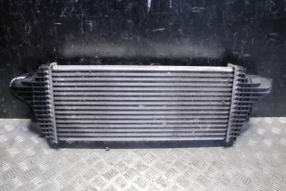 W251, A2515000000 Интеркулер Mercedes GL X164 Арт e12408126, вид 3