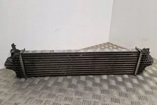 E1G36K775JA Интеркулер Ford Galaxy 3 Арт e12407964, вид 2