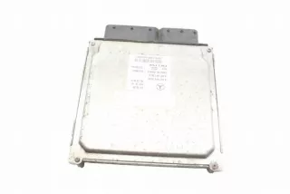 W246, A6519007600 Блок управления двигателем Mercedes A W176 Арт e12390324, вид 1