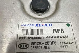 391282BRF8 Блок управления двигателем Kia Sportage 5 Арт e12390109, вид 2